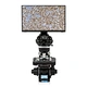 Trinocular Biological Microscope